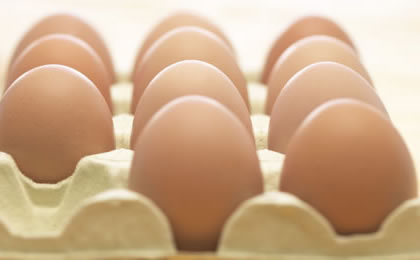 os_tres_maiores_produtores_de_ovos_do_brasil