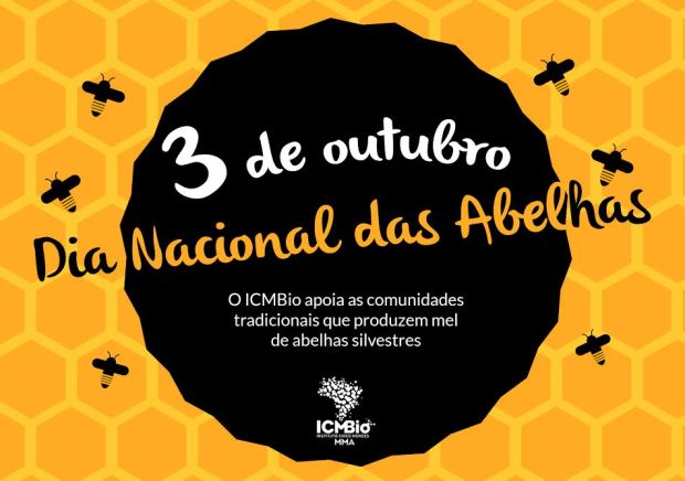 abelhas