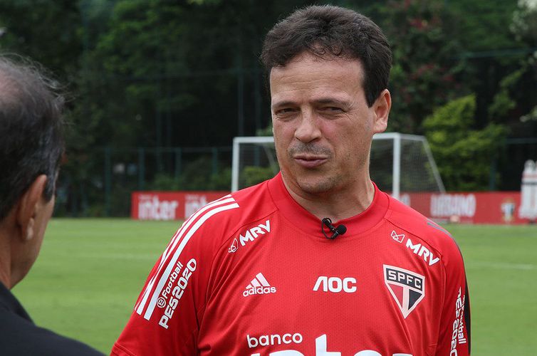 Fernando Diniz dará certo como técnico do Santos&nbsp;F.C.?