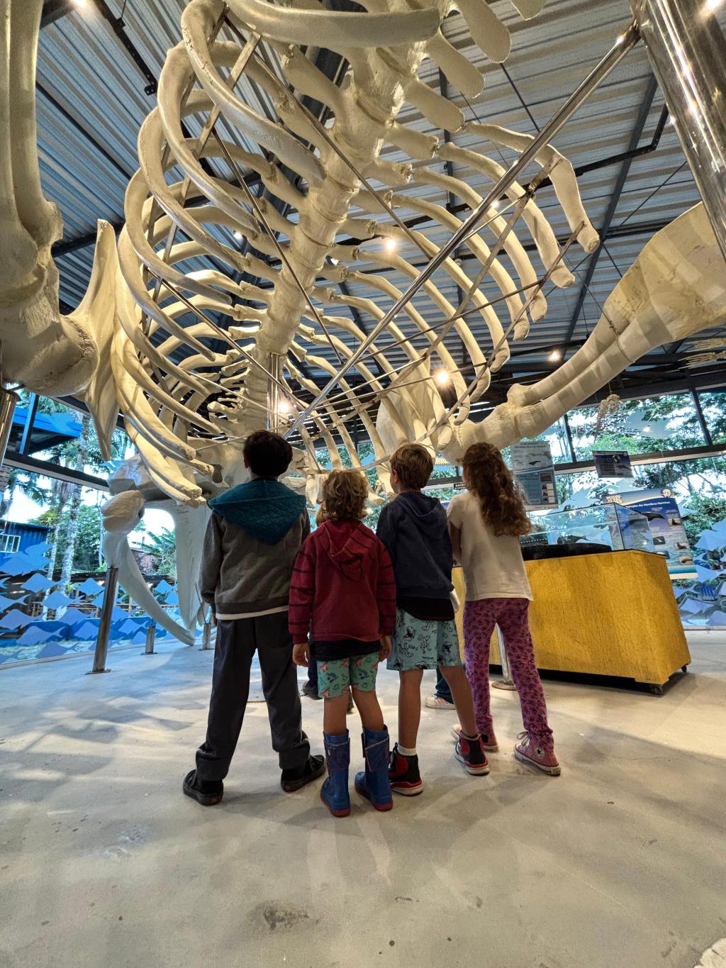 Museu da Vida Marinha em Ubatuba terá programação especial nas férias de&nbsp;julho