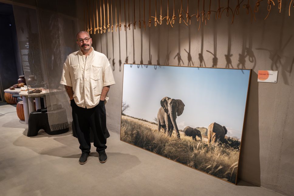 Exposição fotográfica reúne imagens inéditas da vida selvagem na África captadas ao longo de uma&nbsp;década